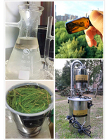 Distillateur de parfum facile à utiliser pour usage domestique, appareil de distillation à la vapeur, machine d'extraction d'huile essentielle d'immortelle