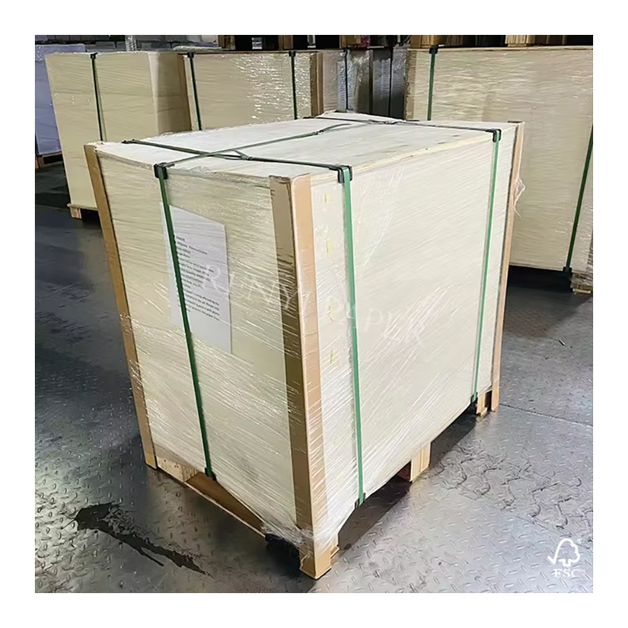 Premium Bagasse Paper Sheets Recyclable Tree-Free Sustainable Packaging Hotel Disposable Product Packaging Wholesale Paper