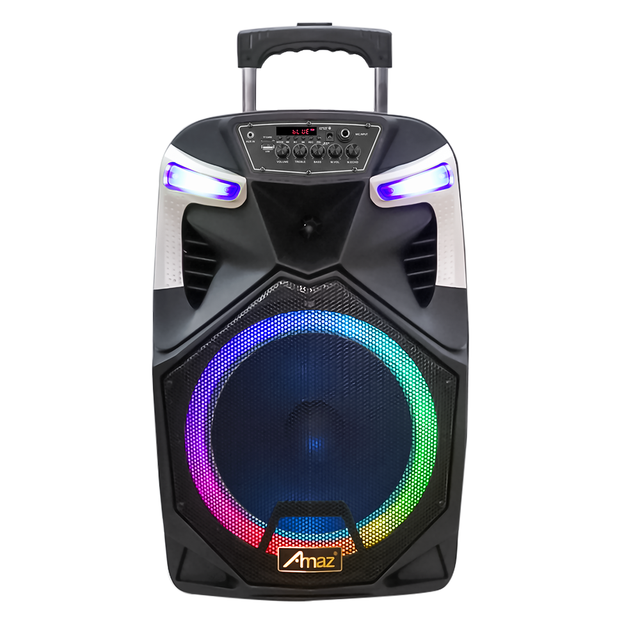 12 Inch Portable Trolley Speaker Active Party Speaker Karaoke Speaker with Led Light