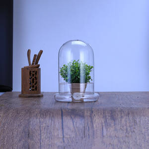 Modernes Design Globus Glasglocke <span class=keywords><strong>Terrarium</strong></span> mit Sockel Transparent für Innendekoration und Tischvase - Product Image 6