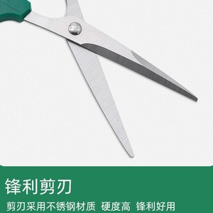 Stainless Steel Pruning Shears Green Straight Head 4065mm Blade For Gardening Fruit Tree Flower Grafting - Product Image 2