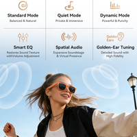Gafas Inteligentes con IA, Cámara, Grabación de Video, Traducción, Asistente ChatGPT, Proveedor Mayorista de Fábrica