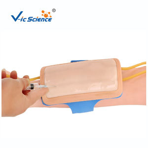 Kit <span class=keywords><strong>de</strong></span> pratique bras d'entraînement à l'injection médicale avant-bras humain Module <span class=keywords><strong>de</strong></span> ponction veineuse <span class=keywords><strong>formation</strong></span> modèle <span class=keywords><strong>de</strong></span> soins infirmiers bras d'injection intraveineuse - Product Image 1