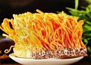 Çin bitkisel <span class=keywords><strong>Cordyceps</strong></span> Militaris meyve vücut özü <span class=keywords><strong>Cordyceps</strong></span> Militaris kapsül <span class=keywords><strong>Cordyceps</strong></span> mantar kapsül - Product Image 2