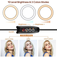 Anneau Lumineux Professionnel pour TikTok Live, Miroir Dimmable, Maquillage Selfie, Anneau Lumineux LED 8, 10, 12, 13 Pouces avec Trépied