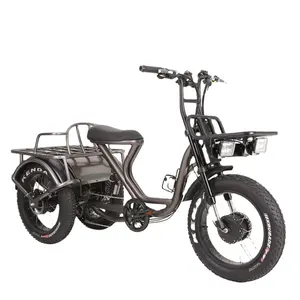 Deux moteurs et batteries avec une forte capacité d'ours, vélo Fat à Suspension complète à 3 roues pour adulte