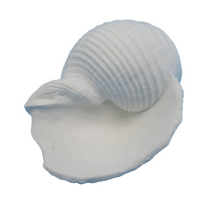 Polyresin Love Sea Conch Shell Corales Acuario para decoración Estatuilla - Product Image 2