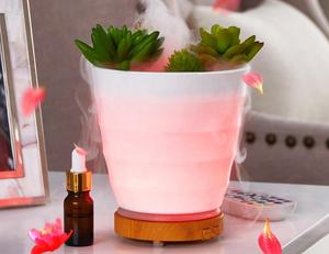 Diffuseur d'huile ultrasonique industriel, humidificateur, pour Design de plantes <span class=keywords><strong>en</strong></span> <span class=keywords><strong>pot</strong></span>, naturelles - Product Image 5