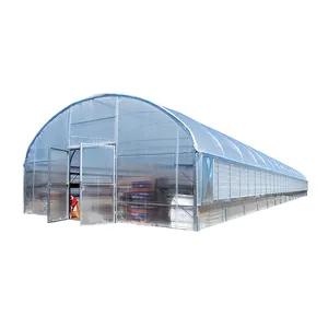 Skyplant Agricole à Travée Unique Film Tunnel Serre Légumes Solaire Hangar En Plastique