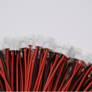 コンパクトデザインJST PAP2.0ターミナルワイヤーハーネス2Pinターミナルワイヤーハーネスケーブルアセンブリ家電用。 - Product Image 6