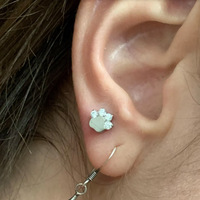 Pendiente de titanio ASTM F136 con forma de pata de gato, circonita y ópalo, para cartílago, tragus, hélix, joyería para piercing corporal