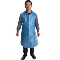 Celemek Biru Plastik Putih Merah Muda PE HDPE LDPE Kotak Sederhana Celemek Kemasan Independen