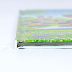 Impresión de Libros Infantiles de Tapa Dura Cosida de Alta Calidad, Fabricante de Impresión de Libros de Cuentos Ilustrados con Encuadernación Personalizada para Niños - Product Image 6