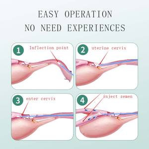 BTS anjing anjing inseminasi kateter buatan tabung sekali pakai jerami semen kateter pembiakan kandang hewan peliharaan & dokter hewan - Product Image 4
