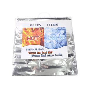 Diseño de logotipo personalizado Bolsa isotérmica de papel de aluminio con aislamiento térmico caliente y más fresco con mango de plástico PET para envasado de alimentos - Product Image 1
