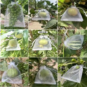 Sac en filet à cordon en HDPE/PF anti-insectes et anti-oiseaux pour arbres fruitiers et raisins - Emballage respirant anti-corrosion et anti-moisissure - Product Image 2