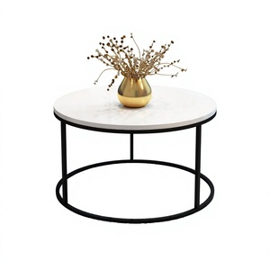 Mesa de Centro Redonda Resistente, Portátil, para Sala de Estar, Oficina, Espacios Pequeños, Robusta, Fácil de Montar - Product Image 1
