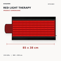 Pad Terapi Cahaya Merah Dua Panjang Gelombang 660nm 850nm Grosir