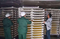 Commerciële Riem Heteluchtdroger Machine Vis Pasta Droger Machine Dehydrator Droogmachine