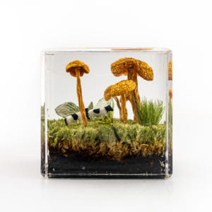 60Mm Kubushars Ornamenten Ambachten Met Echte Bloem Plant Specimen Oceaanschelp Hars Presse-Papier Voor Persoonlijke Geschenken Huisdecoratie - Product Image 3