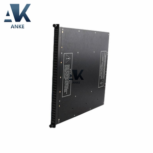 Módulo de salida digital Triconex Invensys 3625 - Product Image 1