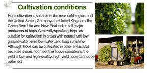 HONGDA工場供給カスケードホップペレット高酸ホップフラワーエキスホップ顆粒ビール用 - Product Image 5