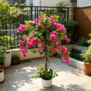 High Quality Real Touch Artificial Silk Bougainvillea <b>Trees</b> Durable Indoor Desktop Plants - Product Image 3