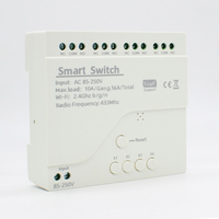 Fonctionne avec l'interrupteur Wi-Fi Tuya Smart Life AC85-250V, relais sans fil à impulsions/autobloquant, automatisation de la maison intelligente pour l'accès aux portes