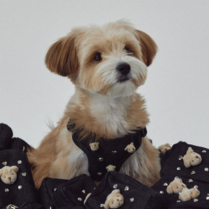 Pet Ins Style 3D Embroidery Cute Bear Breathable Cowboy Suit Pet Harness Set Denim Material <strong>Dog</strong> Knapsack Pet <strong>Collar</strong> - Product Image 5