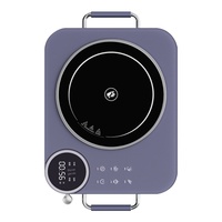 Nouvelle cuisinière électrique en céramique petite Mini cuisinière à induction domestique cuisinière infrarouge électrique et équipe livraison personnalisée fabricant