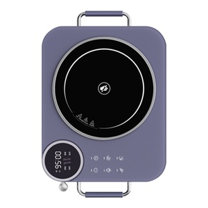 New Electric Bếp Gốm Nhỏ Mini Hộ Gia Đình Cảm Ứng Nồi Hồng Ngoại Nồi Điện Và Đội Tùy Chỉnh Giao Hàng Nhà Sản Xuất - Product Image 6