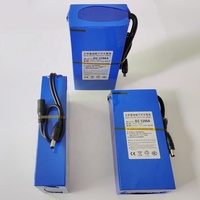 Batterie lithium-ion rechargeable Super 12V 9800mah YSD-1298A DC1298A pour caméra de sécurité à boîte à lumière LED