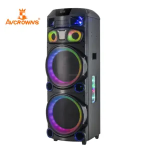 2024 Avcrowns Marque CH-2129 DJ Haut-parleurs Portable Grand professionnel Multimédia Rechargeable Sans Fil Bt Haut-Parleur Avec Grande Puissance