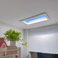 SUEZ Smart Puits de Lumière Artificiels Application Led Lumière Ciel Bleu Lampe de Plafond Panneau Lumineux Intérieur Intégré