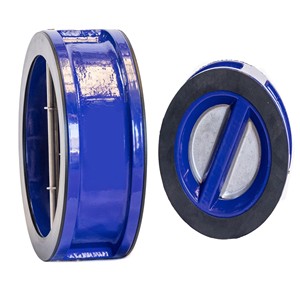 วาล์วกันกลับคุณภาพสูงขนาดหนึ่งนิ้ว ASME EPDM Seat WCB - Product Image 3
