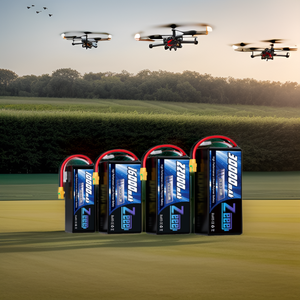 Zeee fpv/מזל "ט סוללה 2s 3 4S 5S 6s 10000mah 16000mah 22000mah 30000mah עם xt60/xt90 plug fpv lipo lipo - Product Image 1