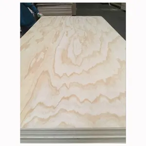 China Plywood Waterproof 10mm 13mm 15mm Ply 4x8 White Baltic Birch Poplar Pine Plywood Sheet