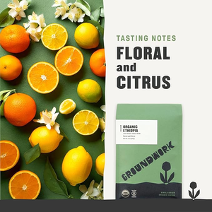 Etiopía Heirloom Micro café elegido 3000 medio oscuro tostado Espresso grano entero con sabor a fruta Arábica bolsa de frijoles para cafetería - Product Image 4