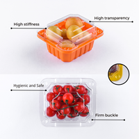 Framboises de qualité alimentaire personnalisées d'approvisionnement d'usine, récipient alimentaire de fraises 8 12 19oz boîte-cadeau en plastique de fruits