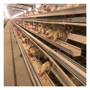 قفص الدجاج بأربعة طبقات من النوع سهل التركيب بشبكة سلكية بسيطة ، قفص الدجاج لمزرعة الدواجن - Product Image 4