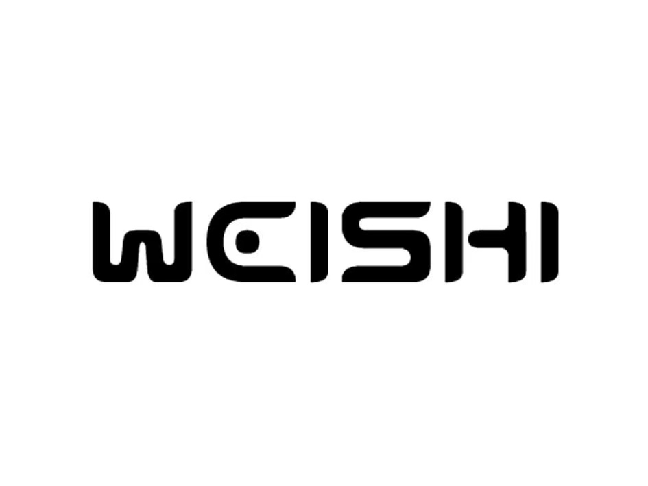Shenzhen Weishi Technology Co., Ltd. logo