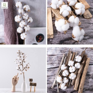 Hot Sale Artificial White 10 Heads Dried <strong>Cotton</strong> Flower Branch Dry <strong>Stem</strong> for Home Christmas Wedding Party Decoration - Product Image 4