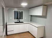 Petite maison préfabriquée en bois pliable et mobile 20 pieds/40 pieds Conteneur Maison extensible Panneau sandwich Acier Boutique/Villa moderne