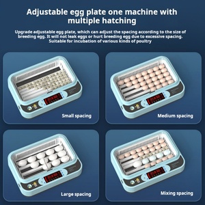 2025 Factory Direct Hofujng New Design Mini <b>Egg</b> <b>Incubator</b> Digital Temperature Control Automatic 64 <b>Eggs</b> 110V-240V - Product Image 4