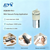 Pompe à air silencieuse DYX DC3.7V 6V 12V 24V pour les fabricants de sodas et d'eau gazeuse