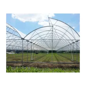 low cost agriculture Sawtooth Green house multi span Poly Film Greenhouse for Sale