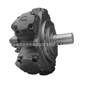 Moteur à pistons axiaux SXM1 E80 E100 E125 E160 E200 E250 F800, moteur hydraulique de type plongeur - Product Image 3
