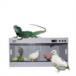 Habitat para Répteis de Uso Interno, Gaiola Térmica de PVC para Lagartos, Dragões Barbudos, Cobras, Tartarugas e Geckos - Product Image 6