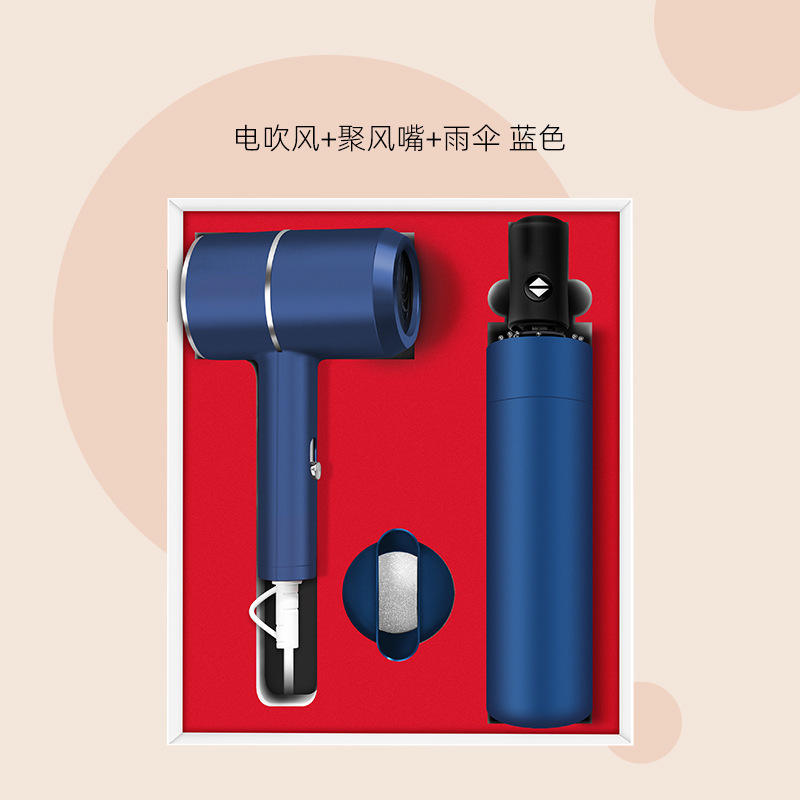 Blue two-piece set [hair dryer and umbrella]
