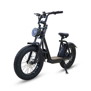 Vélo électrique Urban Mountain 750W avec batterie au lithium à gros pneus de 20 pouces Moteur sans balais Type électronique intelligent Vitesse maximale 25kmh - Product Image 2